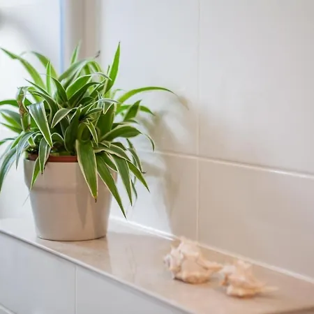 Dolcevita Villa Sutivan